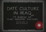 Standbild Datum Kultur im Irak Mesopotamien Irak, 1929, aus Sekunde 7 historischem Filmmaterial Videoclip 65675022173