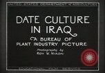 Standbild Datum Kultur im Irak Mesopotamien Irak, 1929, aus Sekunde 8 historischem Filmmaterial Videoclip 65675022173