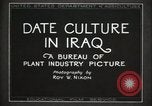 Standbild Datum Kultur im Irak Mesopotamien Irak, 1929, aus Sekunde 9 historischem Filmmaterial Videoclip 65675022173