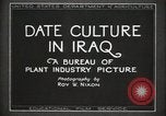 Standbild Datum Kultur im Irak Mesopotamien Irak, 1929, aus Sekunde 10 historischem Filmmaterial Videoclip 65675022173