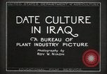Standbild Datum Kultur im Irak Mesopotamien Irak, 1929, aus Sekunde 11 historischem Filmmaterial Videoclip 65675022173