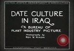 Standbild Datum Kultur im Irak Mesopotamien Irak, 1929, aus Sekunde 12 historischem Filmmaterial Videoclip 65675022173