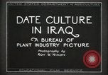 Standbild Datum Kultur im Irak Mesopotamien Irak, 1929, aus Sekunde 13 historischem Filmmaterial Videoclip 65675022173