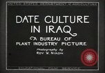 Standbild Datum Kultur im Irak Mesopotamien Irak, 1929, aus Sekunde 14 historischem Filmmaterial Videoclip 65675022173