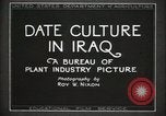Standbild Datum Kultur im Irak Mesopotamien Irak, 1929, aus Sekunde 17 historischem Filmmaterial Videoclip 65675022173