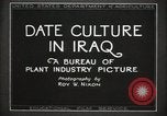 Standbild Datum Kultur im Irak Mesopotamien Irak, 1929, aus Sekunde 19 historischem Filmmaterial Videoclip 65675022173