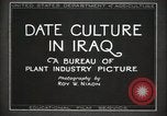 Standbild Datum Kultur im Irak Mesopotamien Irak, 1929, aus Sekunde 20 historischem Filmmaterial Videoclip 65675022173