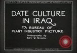 Standbild Datum Kultur im Irak Mesopotamien Irak, 1929, aus Sekunde 21 historischem Filmmaterial Videoclip 65675022173