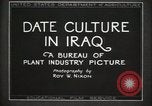 Standbild Datum Kultur im Irak Mesopotamien Irak, 1929, aus Sekunde 22 historischem Filmmaterial Videoclip 65675022173