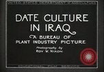 Standbild Datum Kultur im Irak Mesopotamien Irak, 1929, aus Sekunde 23 historischem Filmmaterial Videoclip 65675022173