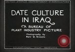Standbild Datum Kultur im Irak Mesopotamien Irak, 1929, aus Sekunde 24 historischem Filmmaterial Videoclip 65675022173