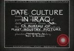 Standbild Datum Kultur im Irak Mesopotamien Irak, 1929, aus Sekunde 25 historischem Filmmaterial Videoclip 65675022173