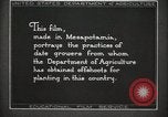 Standbild Datum Kultur im Irak Mesopotamien Irak, 1929, aus Sekunde 27 historischem Filmmaterial Videoclip 65675022173