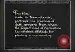 Standbild Datum Kultur im Irak Mesopotamien Irak, 1929, aus Sekunde 36 historischem Filmmaterial Videoclip 65675022173