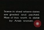 Standbild Datum Verpackung Mesopotamien Irak, 1929, aus Sekunde 3 historischem Filmmaterial Videoclip 65675022174