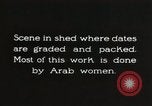 Standbild Datum Verpackung Mesopotamien Irak, 1929, aus Sekunde 6 historischem Filmmaterial Videoclip 65675022174