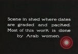 Standbild Datum Verpackung Mesopotamien Irak, 1929, aus Sekunde 7 historischem Filmmaterial Videoclip 65675022174