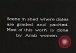 Standbild Datum Verpackung Mesopotamien Irak, 1929, aus Sekunde 8 historischem Filmmaterial Videoclip 65675022174