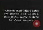Standbild Datum Verpackung Mesopotamien Irak, 1929, aus Sekunde 9 historischem Filmmaterial Videoclip 65675022174