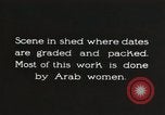 Standbild Datum Verpackung Mesopotamien Irak, 1929, aus Sekunde 10 historischem Filmmaterial Videoclip 65675022174