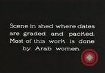 Standbild Datum Verpackung Mesopotamien Irak, 1929, aus Sekunde 11 historischem Filmmaterial Videoclip 65675022174