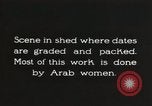 Standbild Datum Verpackung Mesopotamien Irak, 1929, aus Sekunde 13 historischem Filmmaterial Videoclip 65675022174