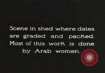 Standbild Datum Verpackung Mesopotamien Irak, 1929, aus Sekunde 14 historischem Filmmaterial Videoclip 65675022174