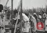Standbild Datum Verpackung Mesopotamien Irak, 1929, aus Sekunde 44 historischem Filmmaterial Videoclip 65675022174