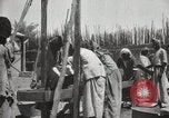 Standbild Datum Verpackung Mesopotamien Irak, 1929, aus Sekunde 46 historischem Filmmaterial Videoclip 65675022174