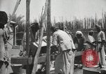 Standbild Datum Verpackung Mesopotamien Irak, 1929, aus Sekunde 47 historischem Filmmaterial Videoclip 65675022174