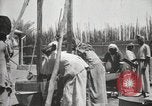 Standbild Datum Verpackung Mesopotamien Irak, 1929, aus Sekunde 49 historischem Filmmaterial Videoclip 65675022174