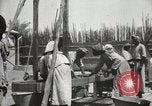 Standbild Datum Verpackung Mesopotamien Irak, 1929, aus Sekunde 51 historischem Filmmaterial Videoclip 65675022174