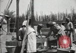 Standbild Datum Verpackung Mesopotamien Irak, 1929, aus Sekunde 52 historischem Filmmaterial Videoclip 65675022174