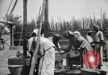 Standbild Datum Verpackung Mesopotamien Irak, 1929, aus Sekunde 53 historischem Filmmaterial Videoclip 65675022174