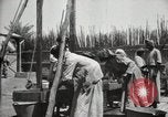 Standbild Datum Verpackung Mesopotamien Irak, 1929, aus Sekunde 54 historischem Filmmaterial Videoclip 65675022174