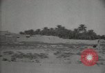 Standbild Arbeiter machen Datum Blatt Taschen Mandali Irak, 1929, aus Sekunde 32 historischem Filmmaterial Videoclip 65675022177