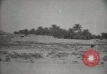 Standbild Arbeiter machen Datum Blatt Taschen Mandali Irak, 1929, aus Sekunde 33 historischem Filmmaterial Videoclip 65675022177