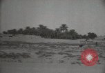Standbild Arbeiter machen Datum Blatt Taschen Mandali Irak, 1929, aus Sekunde 34 historischem Filmmaterial Videoclip 65675022177