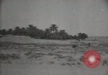 Standbild Arbeiter machen Datum Blatt Taschen Mandali Irak, 1929, aus Sekunde 35 historischem Filmmaterial Videoclip 65675022177