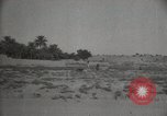 Standbild Arbeiter machen Datum Blatt Taschen Mandali Irak, 1929, aus Sekunde 37 historischem Filmmaterial Videoclip 65675022177