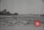 Standbild Arbeiter machen Datum Blatt Taschen Mandali Irak, 1929, aus Sekunde 38 historischem Filmmaterial Videoclip 65675022177