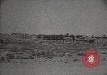 Standbild Arbeiter machen Datum Blatt Taschen Mandali Irak, 1929, aus Sekunde 43 historischem Filmmaterial Videoclip 65675022177