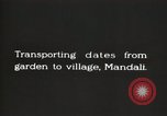 Standbild Arbeiter machen Datum Blatt Taschen Mandali Irak, 1929, aus Sekunde 62 historischem Filmmaterial Videoclip 65675022177