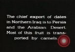 Image date de transports et culture Bassorah Irak, 1929, de la seconde 1 séquences d'archives historiques vidéo 65675022178