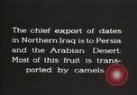 Image date de transports et culture Bassorah Irak, 1929, de la seconde 4 séquences d'archives historiques vidéo 65675022178