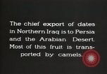 Image date de transports et culture Bassorah Irak, 1929, de la seconde 5 séquences d'archives historiques vidéo 65675022178