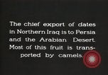 Image date de transports et culture Bassorah Irak, 1929, de la seconde 7 séquences d'archives historiques vidéo 65675022178