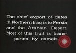 Image date de transports et culture Bassorah Irak, 1929, de la seconde 8 séquences d'archives historiques vidéo 65675022178