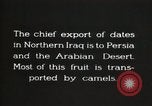 Image date de transports et culture Bassorah Irak, 1929, de la seconde 9 séquences d'archives historiques vidéo 65675022178