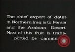 Image date de transports et culture Bassorah Irak, 1929, de la seconde 10 séquences d'archives historiques vidéo 65675022178